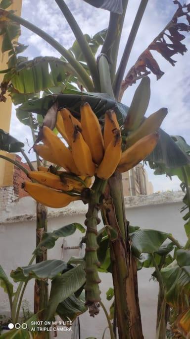 Precioso Con A/a En Ruzafa Con Terracita Privada Y Acceso A Un Jardin, 2-3 Personas Apartament *